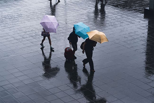 Showers expected in several districts