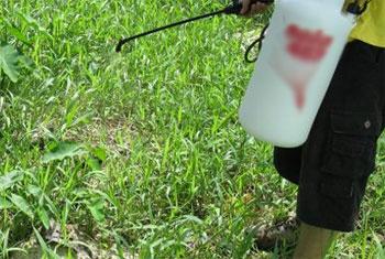 VIDEO: President orders ban on weedicide which causes kidney disease