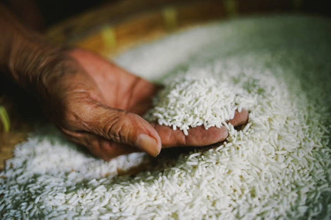 Govt to distribute free rice to 2.9 mn families
