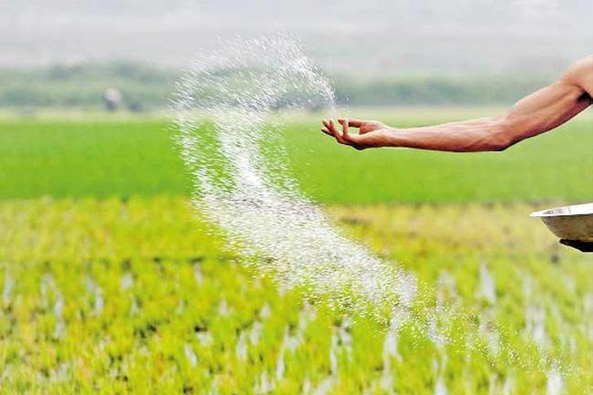 Fertilizer distribution will be handed over to private sector - Minister