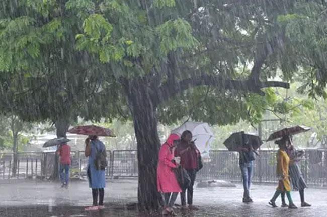 Spread of diseases on the rise due to weather in Sri Lanka – health officials 
