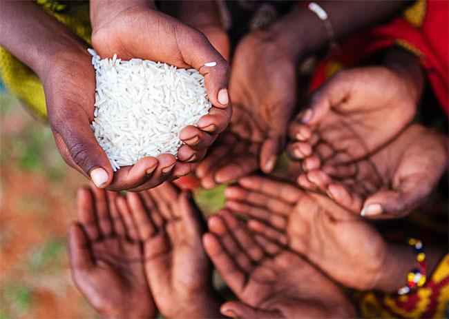 17% of Sri Lanka’s population in moderate acute food insecurity – report