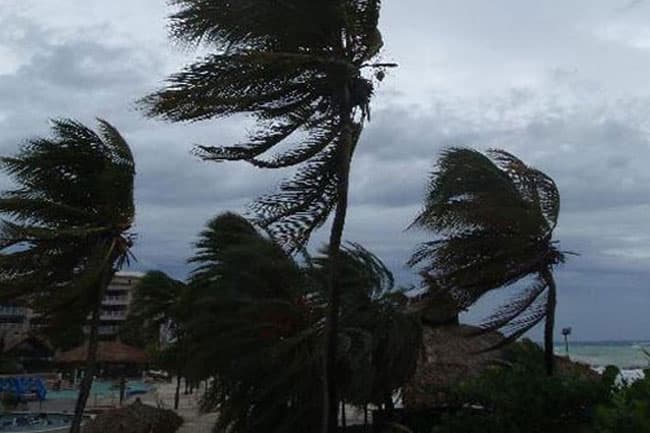 Met. Dept. issues advisory for strong winds