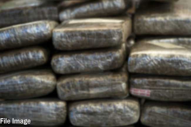 Over 35kg ‘Hashish’ seized at Orugudawatta Cargo Terminal