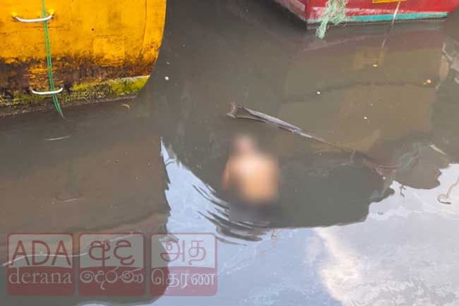 Beruwala Fisheries Harbor security guard found dead
