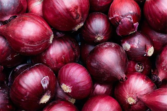 Sri Lanka explores opportunity to import big onions from Egypt