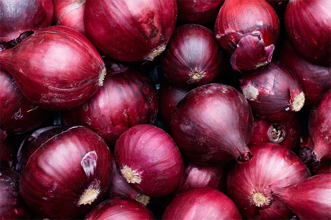 Sri Lanka explores opportunity to import big onions from Egypt