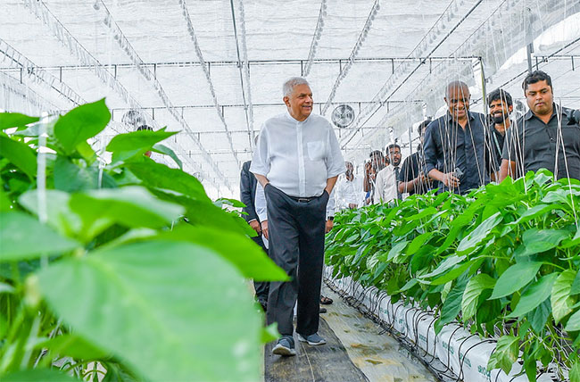 President reveals plans for AI-driven agricultural transformation in Sri Lanka