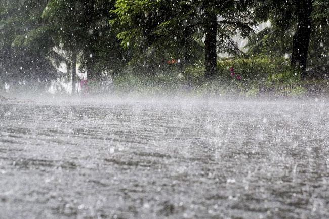Showery and windy conditions to continue during next 36 hours