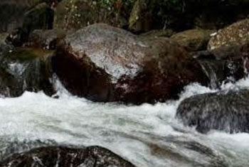 Sri Lankan national drowns in waterfall