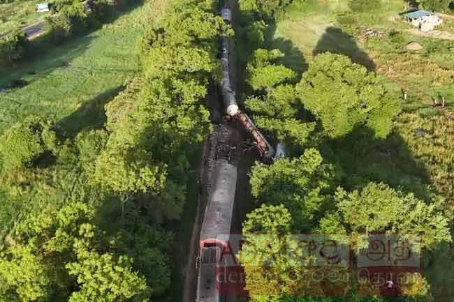 Two elephants killed in fuel train collision: Investigation launched on train’s speed