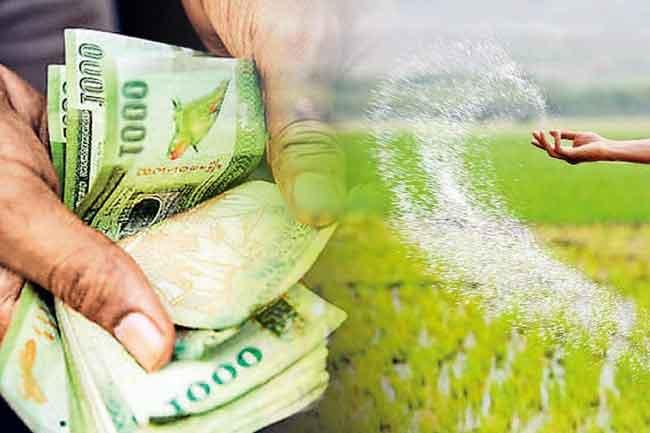 Fertilizer subsidy delay due to technical issues – Agri. Ministry