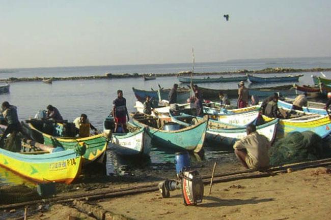 141 Indian fishermen in Sri Lankan custody, Indian govt. informs Parliament
