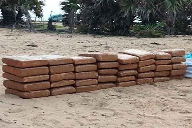 85 kg of Kerala cannabis found buried at beach in Jaffna