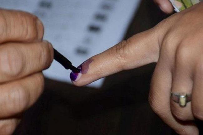 LG Election: Proof of identity a must for postal voters