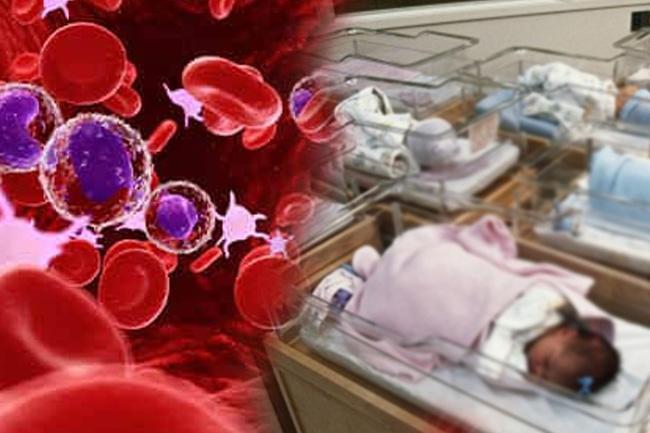 2,000-2,500 children in Sri Lanka suffering from Thalassemia: Health Officials