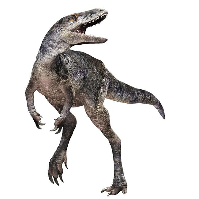 New species of dinosaur discovered that ‘rewrites’ T.rex family tree
