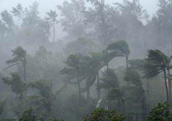 Rains in Nuwara Eliya damage houses