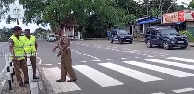 Two sisters killed on pedestrian crossing in Polgasowita