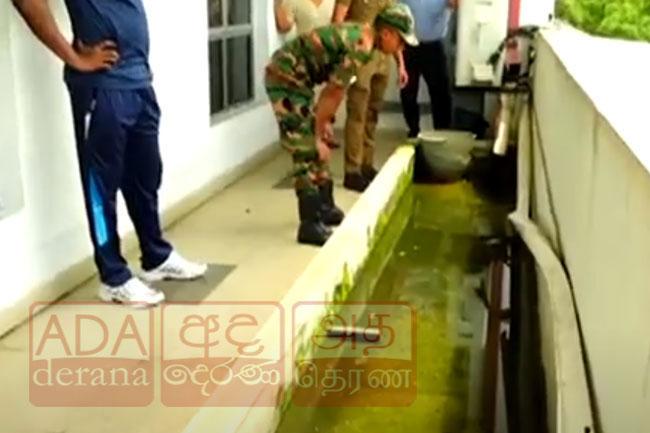 Legal action taken against 143 individuals on first day of Mosquito Control Week