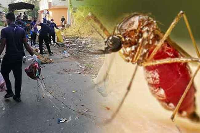  Over 22,000 premises inspected on day 2 of Mosquito Control Week