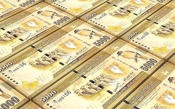 Sri Lanka’s GDP growth for 2025 expected at 3.1% - FinMin officials