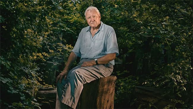 David Attenborough, 99, breaks record as oldest Daytime Emmy winner