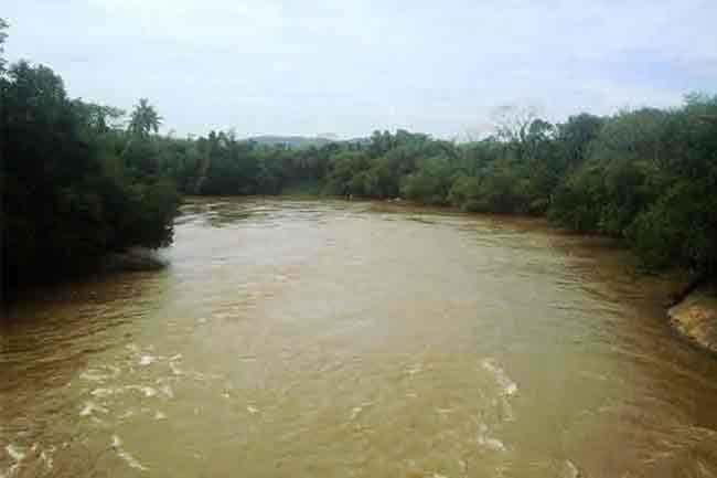 Reservoir water levels gradually receding – Irrigation Dept.  