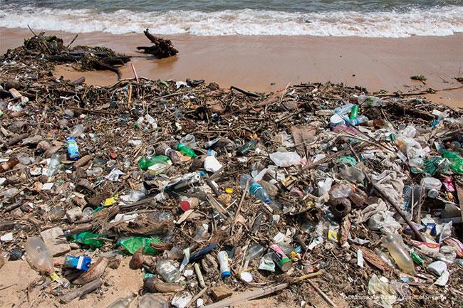 Cyclone Ditwah causes extensive pollution along 143km stretch of Sri Lanka’s coastline