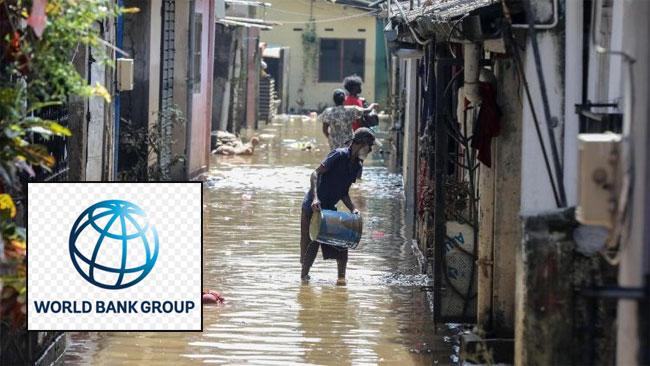 Cabinet approves activation of emergency response components in World Bank–funded projects 