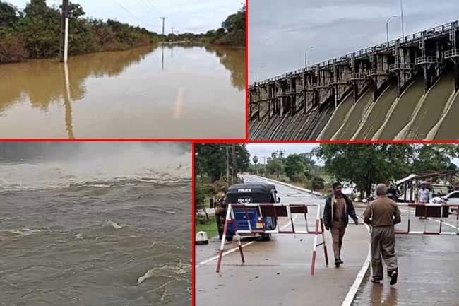 Highest rainfall in past 24 hours recorded in Udadumbara 