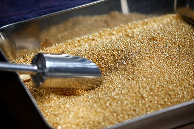 Gold tops $4,900/oz; silver and platinum extend record‑setting rally