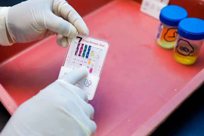 480 arrested for drug driving so far this year – Public Security Minister 