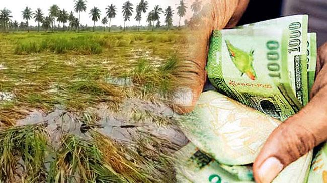 Compensation process begins for farmers affected by crop damage in 2025/26 ‘Maha Season’