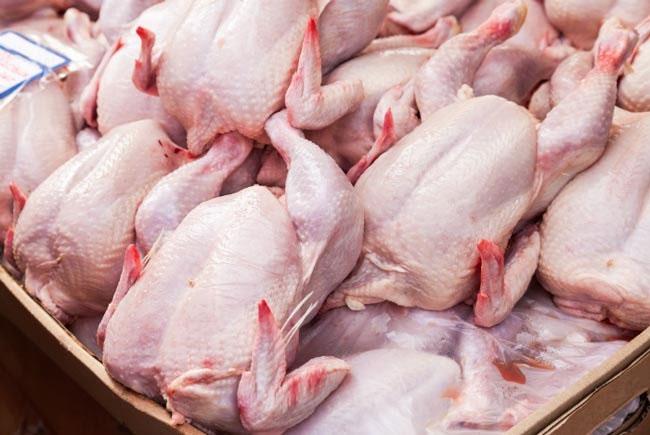 SLAAP assures consistent chicken supply ahead of festive season