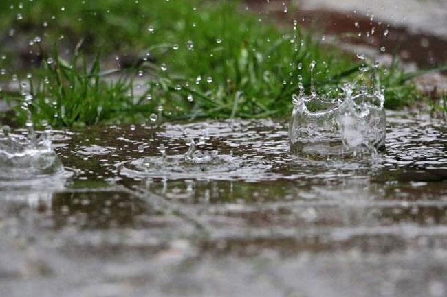 Showers expected in parts of the island after 2pm