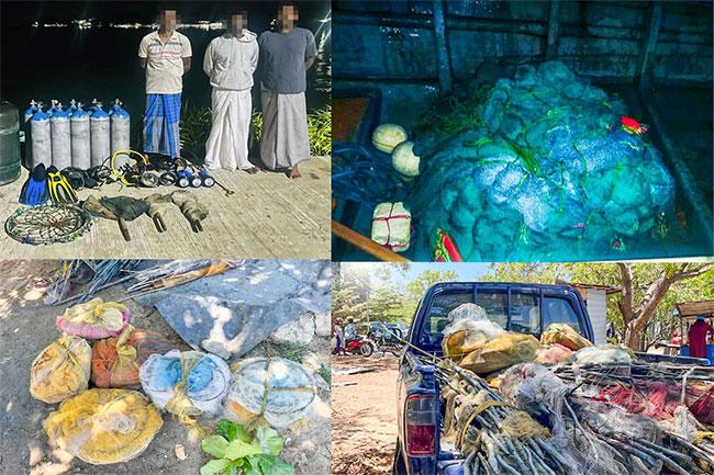 41 apprehended in fortnight-long crackdown on illegal fishing - Navy