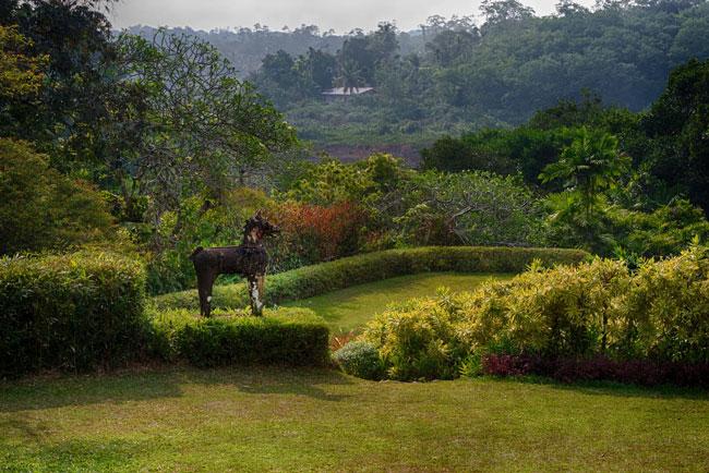 Sri Lanka’s Brief Garden featured in New York Times Style Magazine
