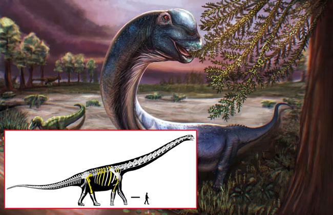 Scientists dig up Southeast Asia’s largest dinosaur in Thailand
