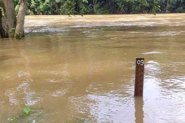 Rainfall decreases across major river basins – Irrigation Dpt. 