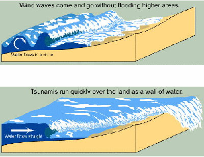 What to do before a tsunami