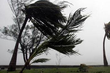 Strong winds to be expected over Sri Lanka - Met Department