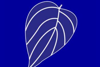 SLFP cancels membership, posts of accused members