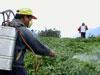 UPDATE: More students fall victim to insecticide spray, school closed