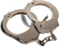 Woman arrested for fraudulently collecting millions 