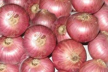 Special import tax on big onions doubled