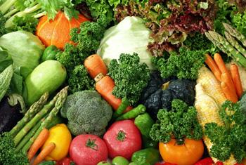 VIDEO: Plastic containers for vegetable transportation mandatory