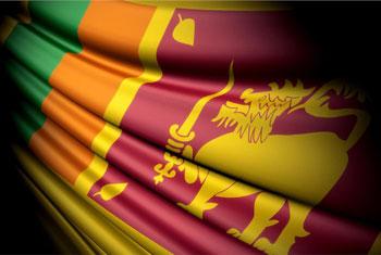 Govt assures due attention to UN report