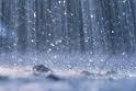 VIDEO: Colombo records highest rainfall in 18yrs, showers to continue – Met Dept