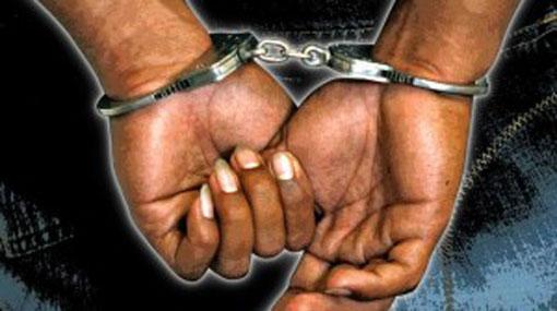Police arrest 12 Indians for visa violations